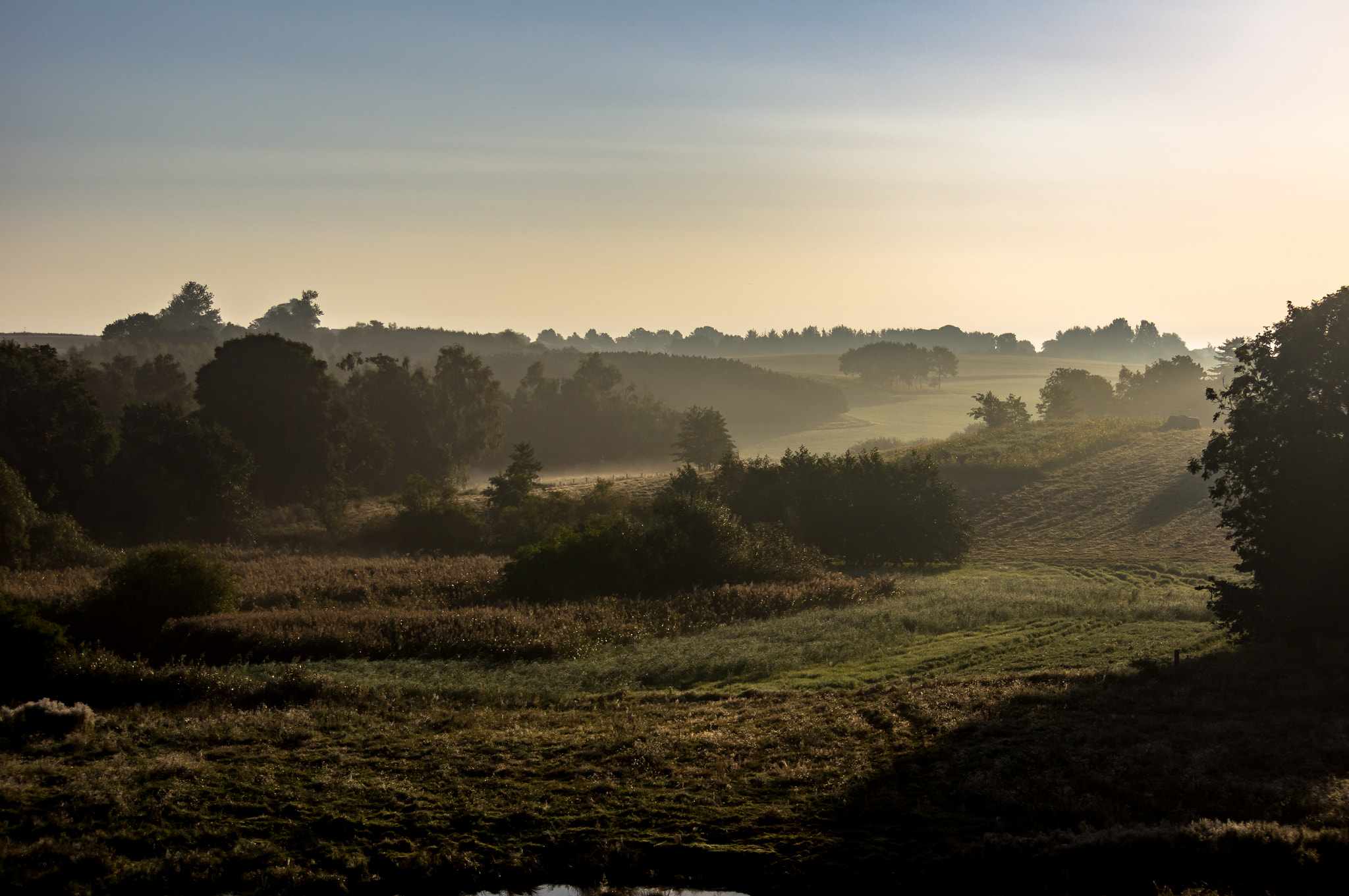 Sony SLT-A55 (SLT-A55V) sample photo. Autumn meadow photography