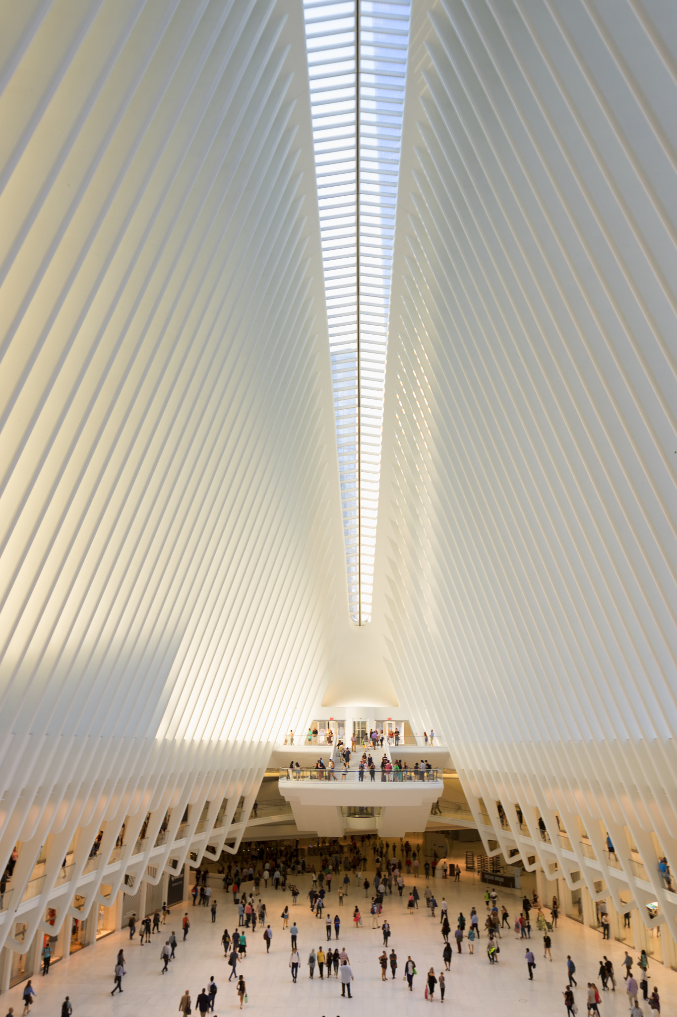 Oculus transportation hub.