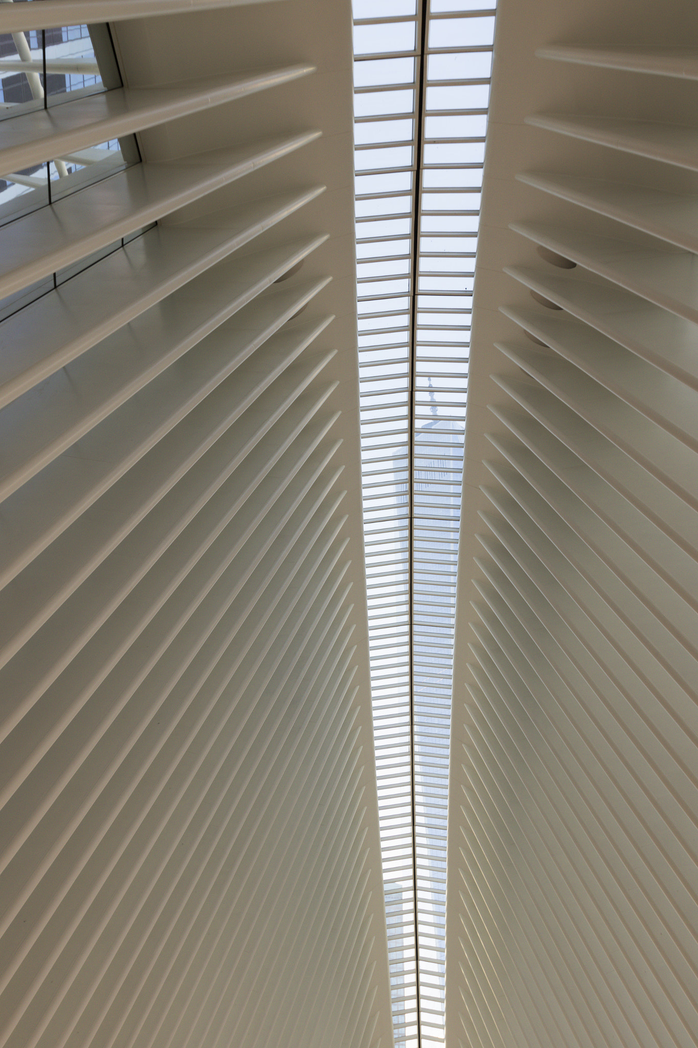 Oculus transportation hub.