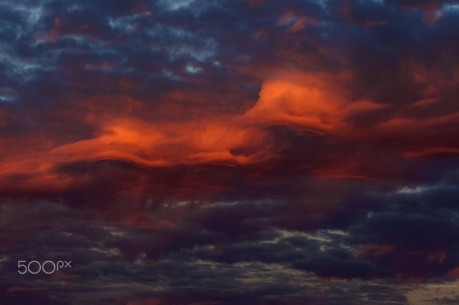 AF Zoom-Nikkor 80-200mm f/2.8 ED sample photo. Infernal beauty photography