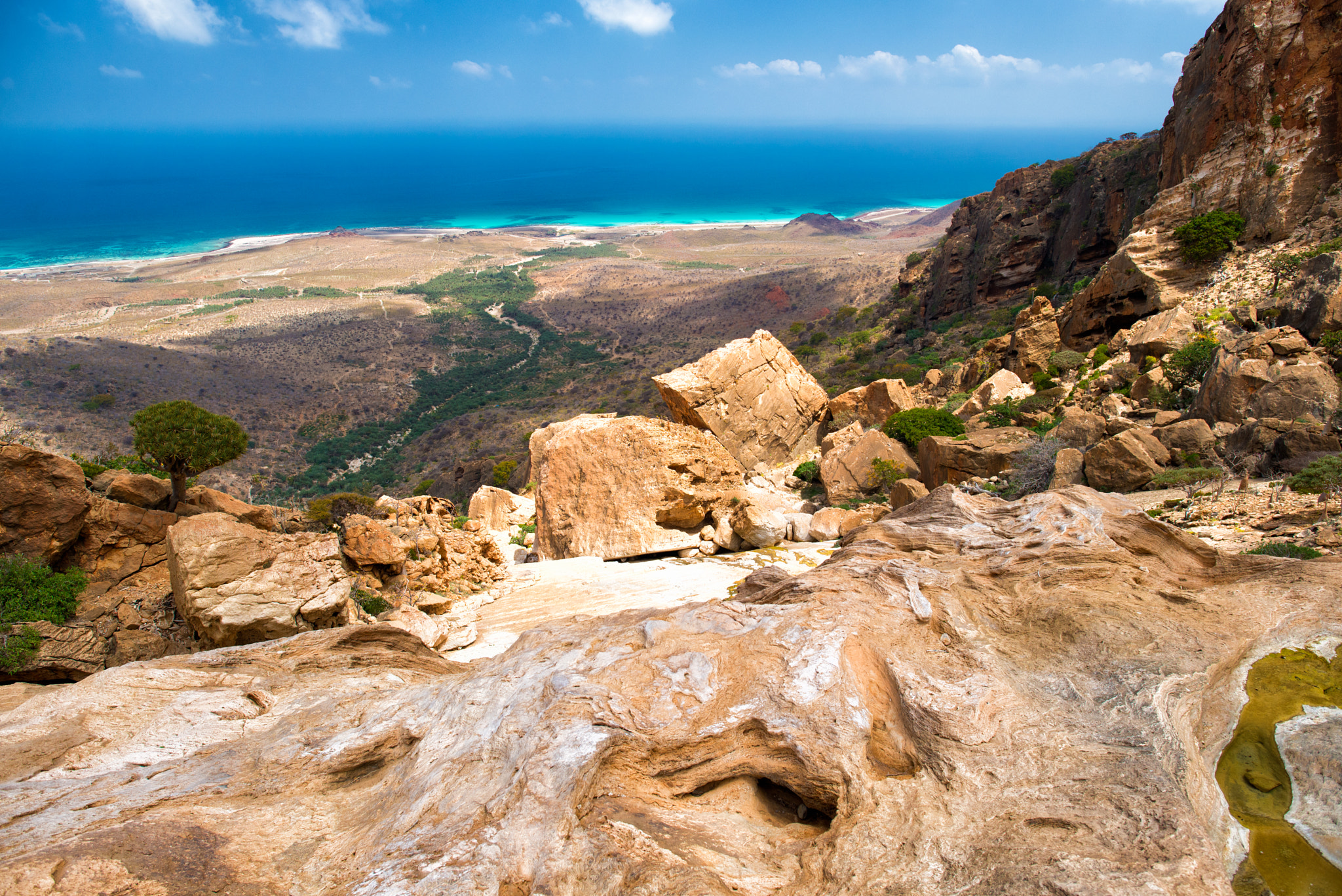 Nikon D600 + Nikon AF-S Nikkor 24mm F1.4G ED sample photo. Socotra photography