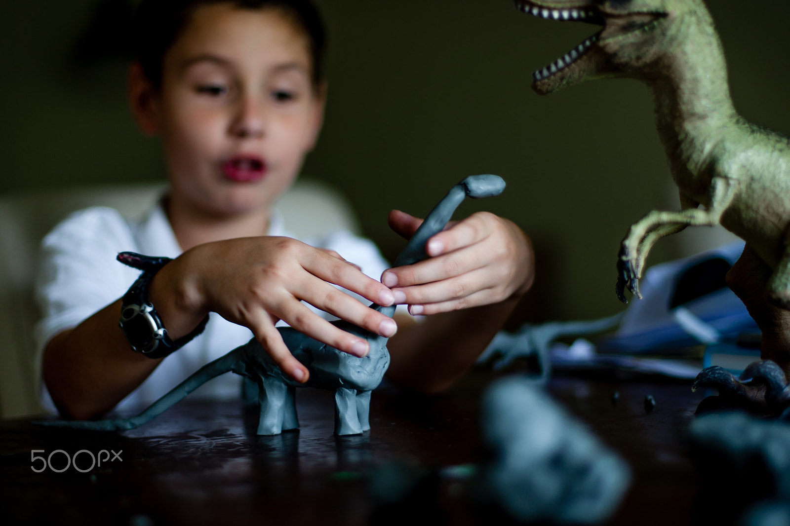 Canon EOS-1D Mark III sample photo. Dino story photography