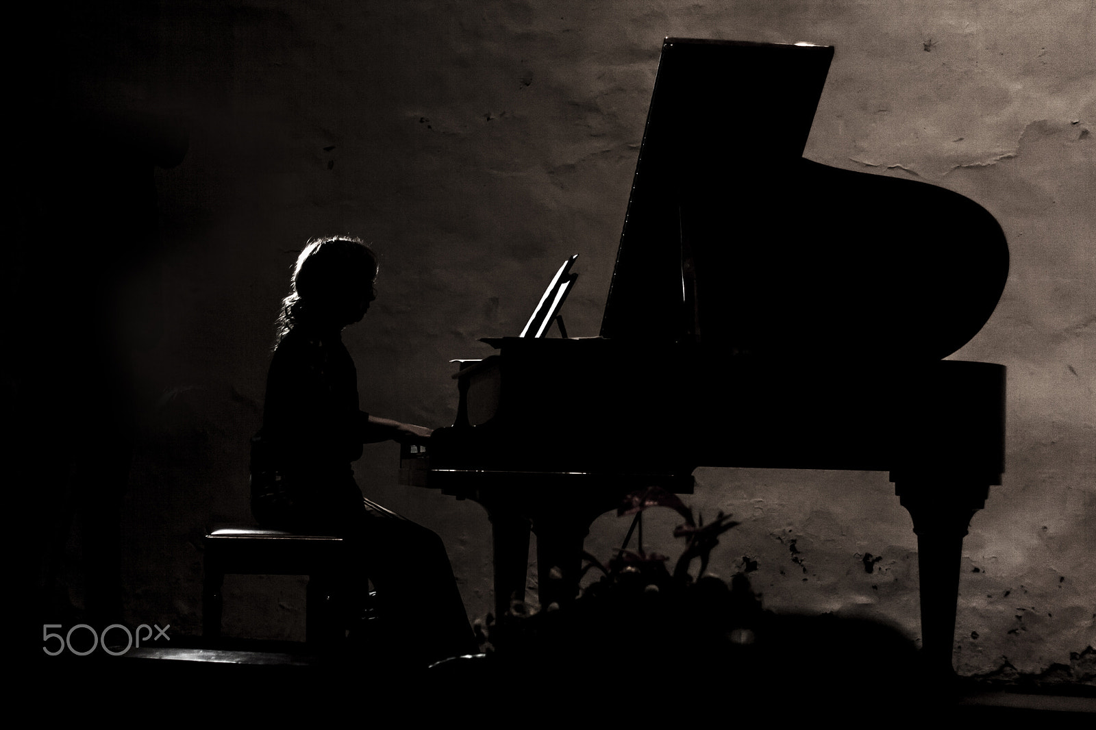 Canon EOS 1000D (EOS Digital Rebel XS / EOS Kiss F) sample photo. Piano photography