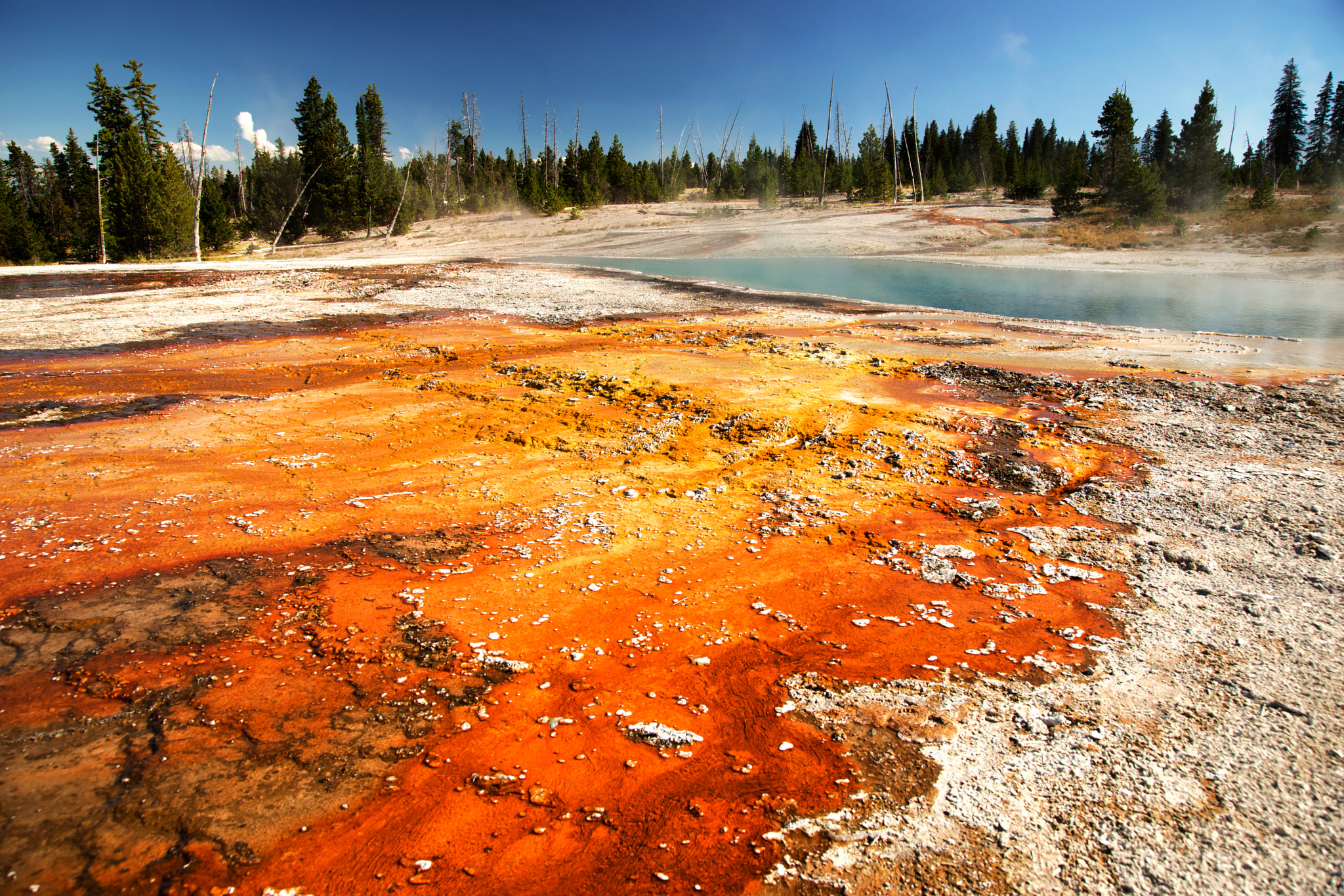 Sony a99 II sample photo. Yellowstone np july 2016 photography