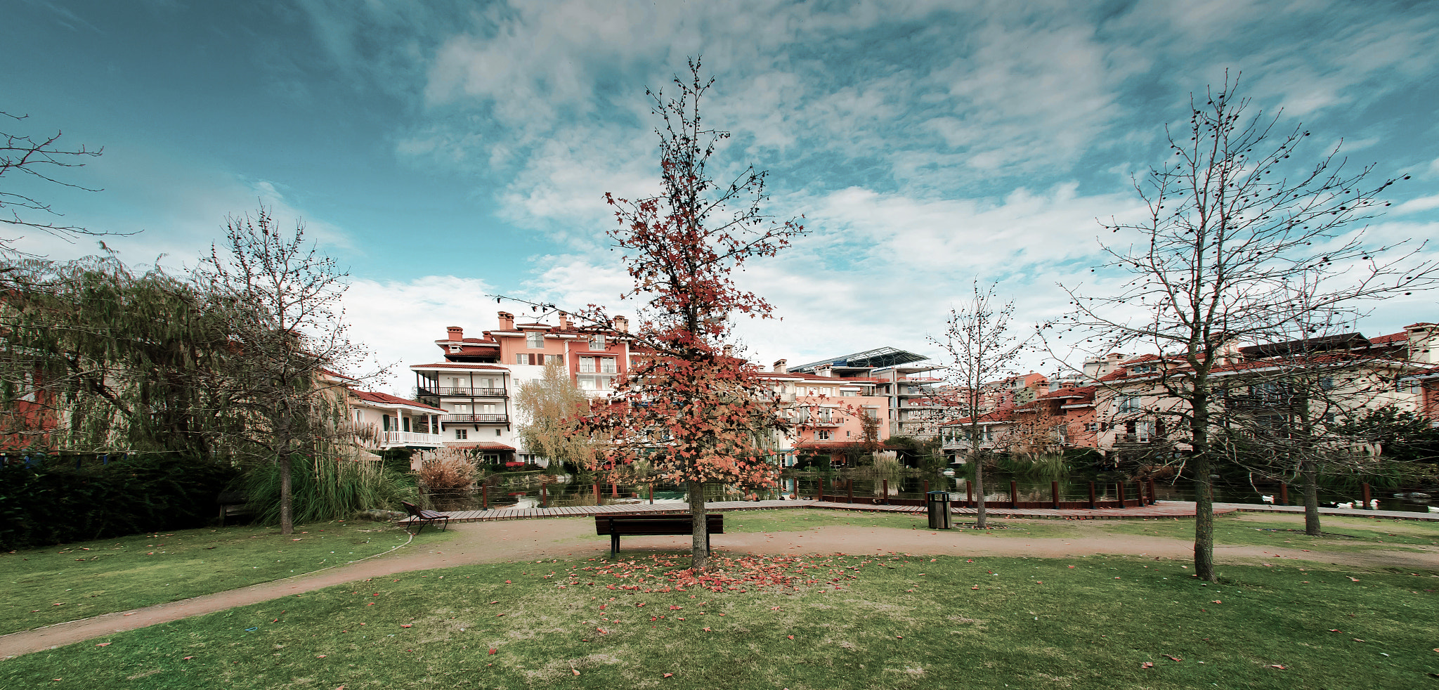 Nikon D800 + Nikon AF Nikkor 14mm F2.8D ED sample photo. Skeleton tree photography