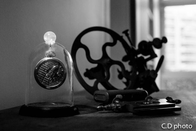 Nikon AF-S Nikkor 28-70mm F2.8 ED-IF sample photo. Www.facebook.com/cedro.fotos photography