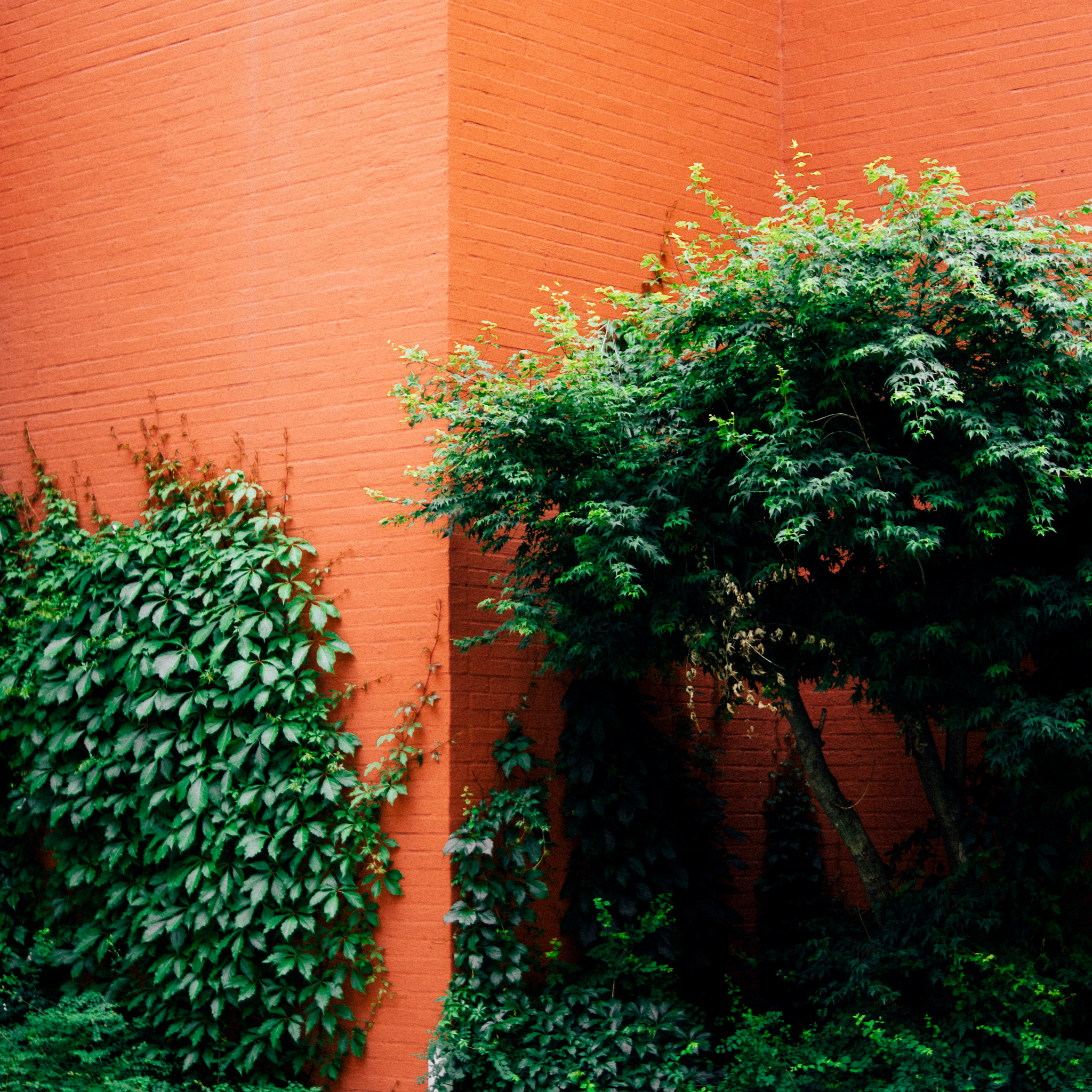 Sigma 30mm F1.4 DC DN | C sample photo. The oasis photography