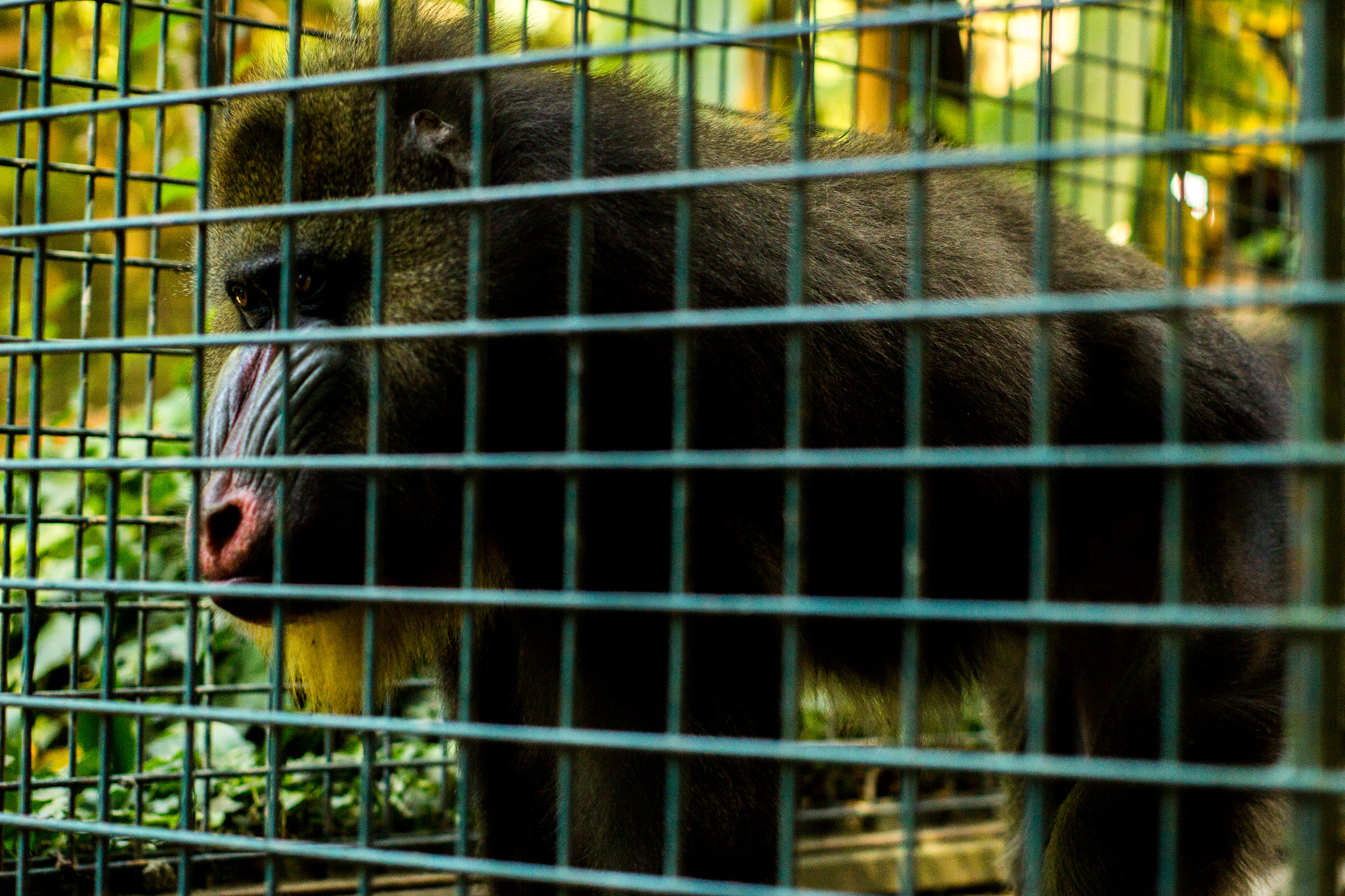 Canon EF 35-80mm f/4-5.6 sample photo. Prison :/   -   olympus om zuiko mc 50mm f1.4 photography