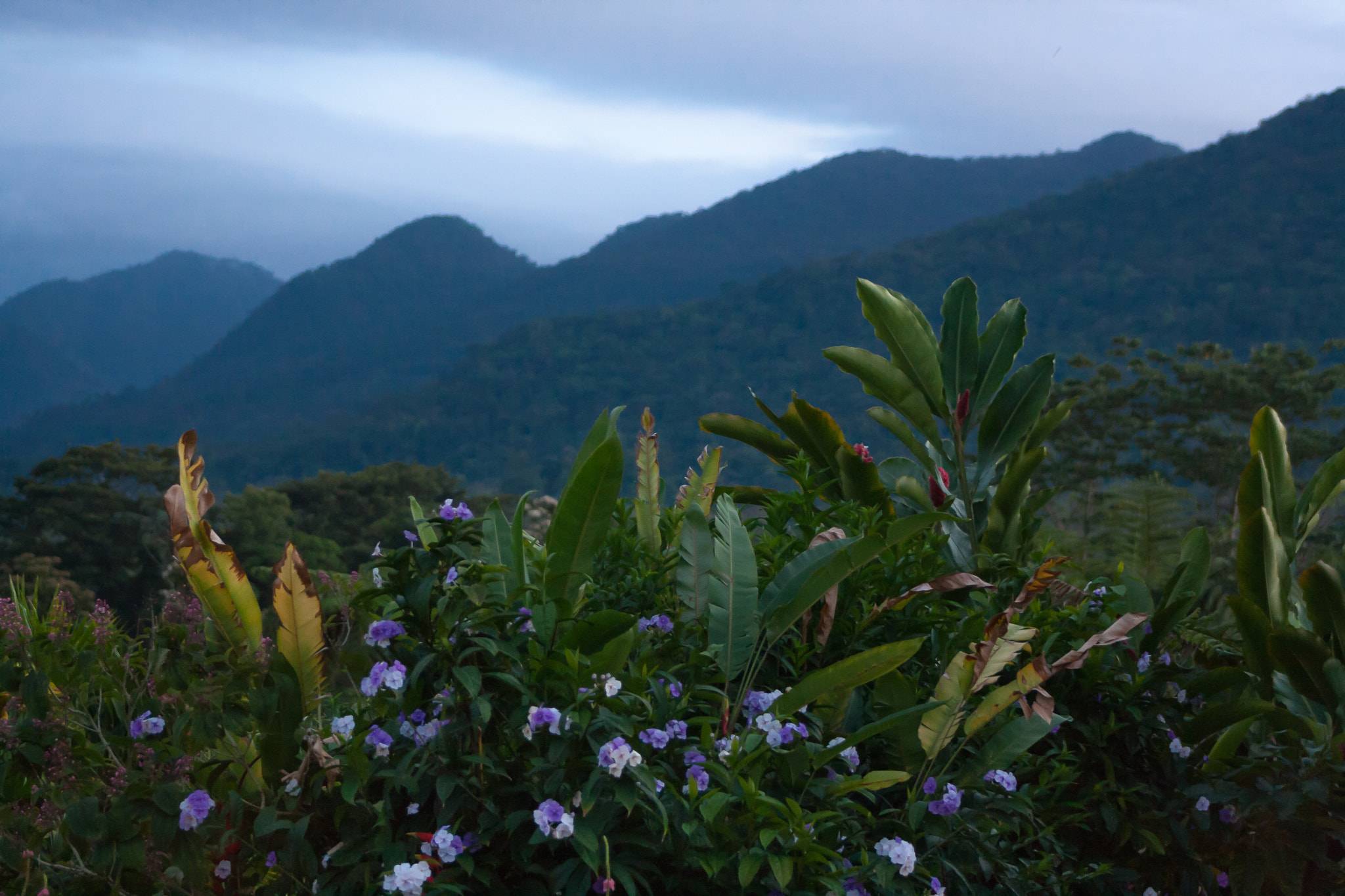 Canon EF 75-300mm f/4-5.6 USM sample photo. Hills of cerro chato volcano photography