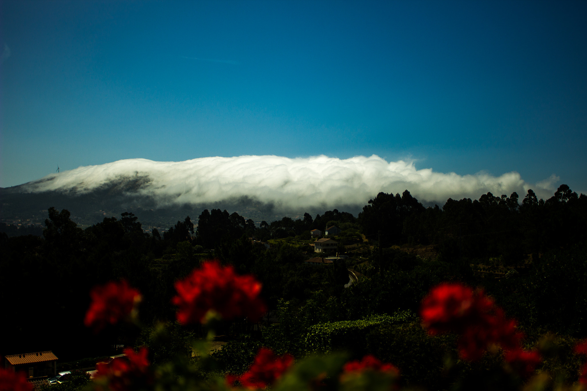 Canon EF 35-80mm f/4-5.6 sample photo. Fog down the mountain photography