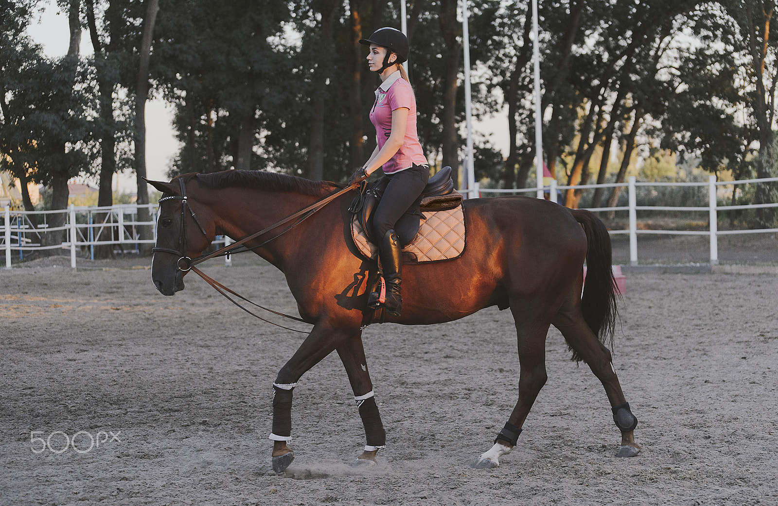 Nikon D4 sample photo. Equestrienne photography