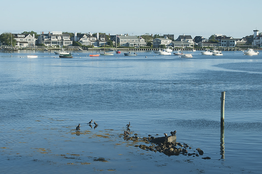 Nikon D300 sample photo. Low tide photography