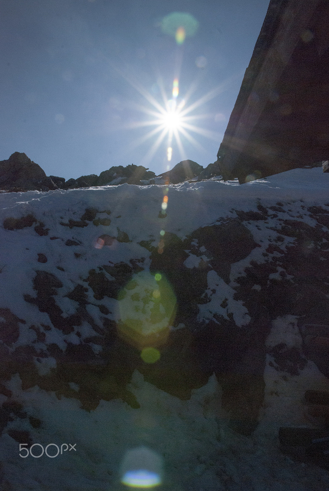 Nikon D80 sample photo. Backlight on the snow photography