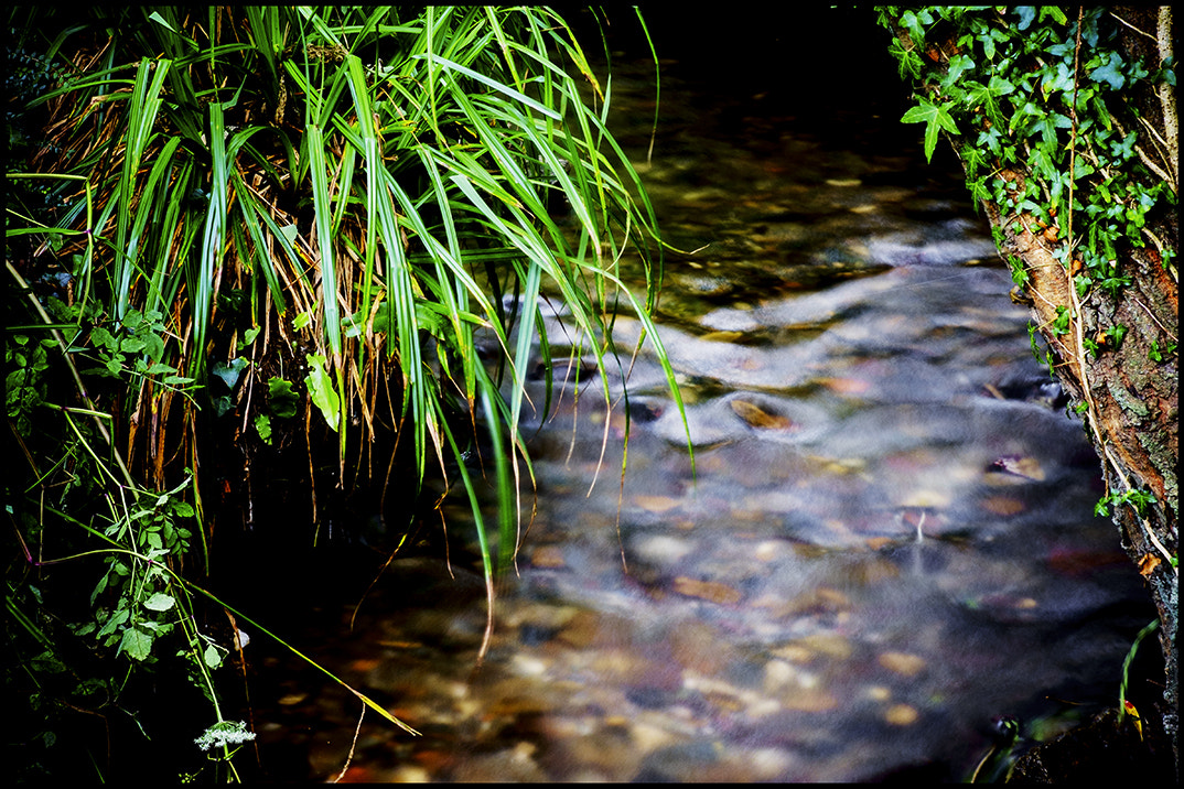 Fujifilm X-Pro1 + Fujifilm XF 60mm F2.4 R Macro sample photo. Exmoor stream. photography