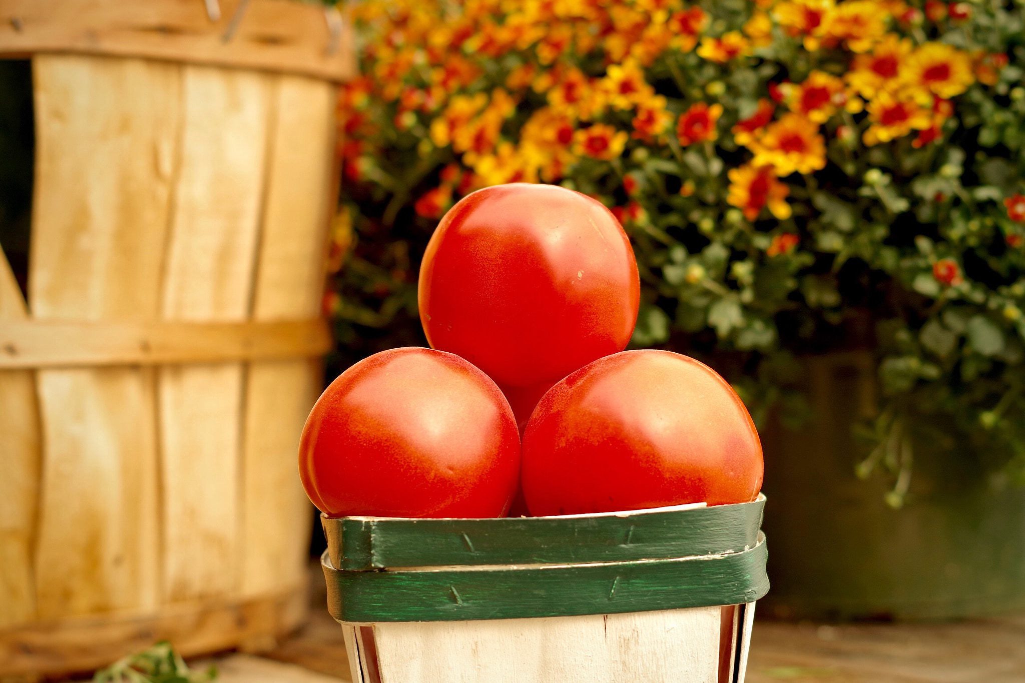 Pentax K-S2 + Pentax smc DA 50mm F1.8 sample photo. No tomato compares to a maryland tomato photography