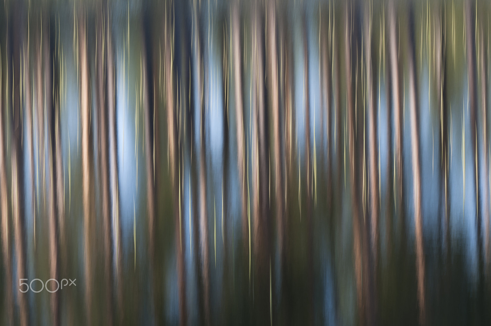Nikon AF-S Nikkor 200-400mm F4G ED-IF VR sample photo. Abstract reflection photography