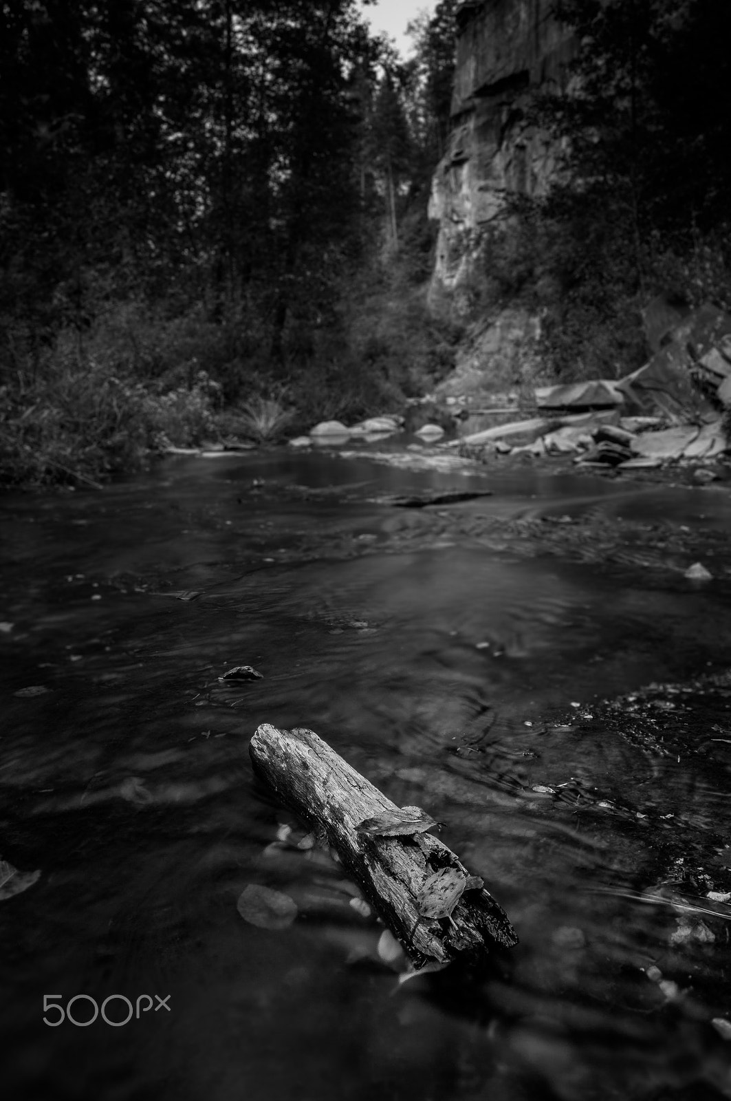 Canon EOS 1200D (EOS Rebel T5 / EOS Kiss X70 / EOS Hi) + Canon EF 17-40mm F4L USM sample photo. Lonely log photography