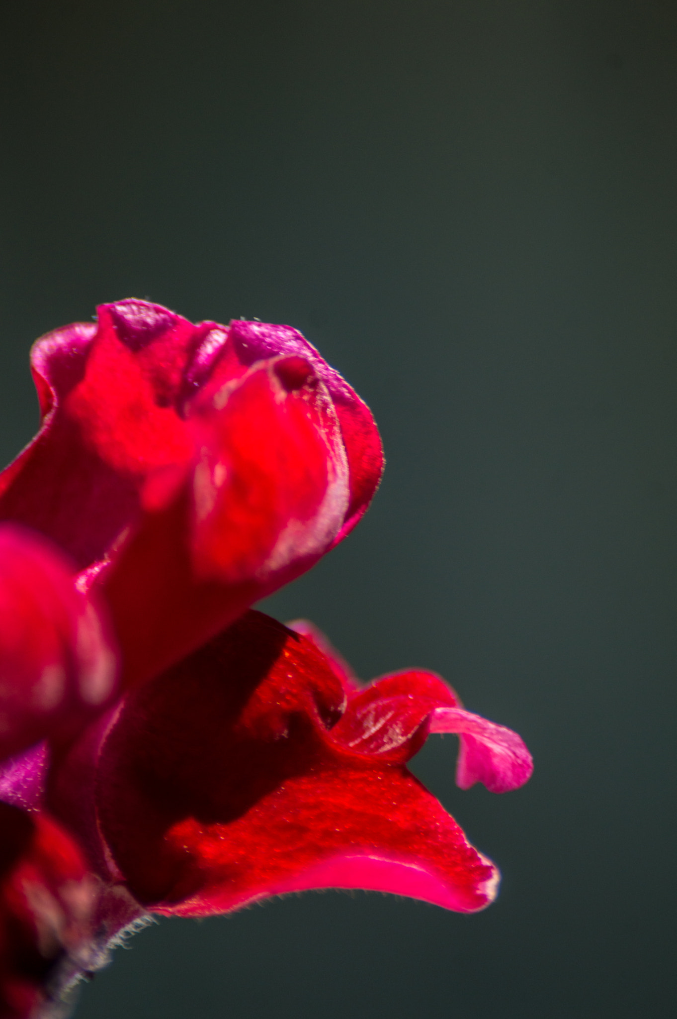 Nikon D3200 + Sigma 70-300mm F4-5.6 DG Macro sample photo