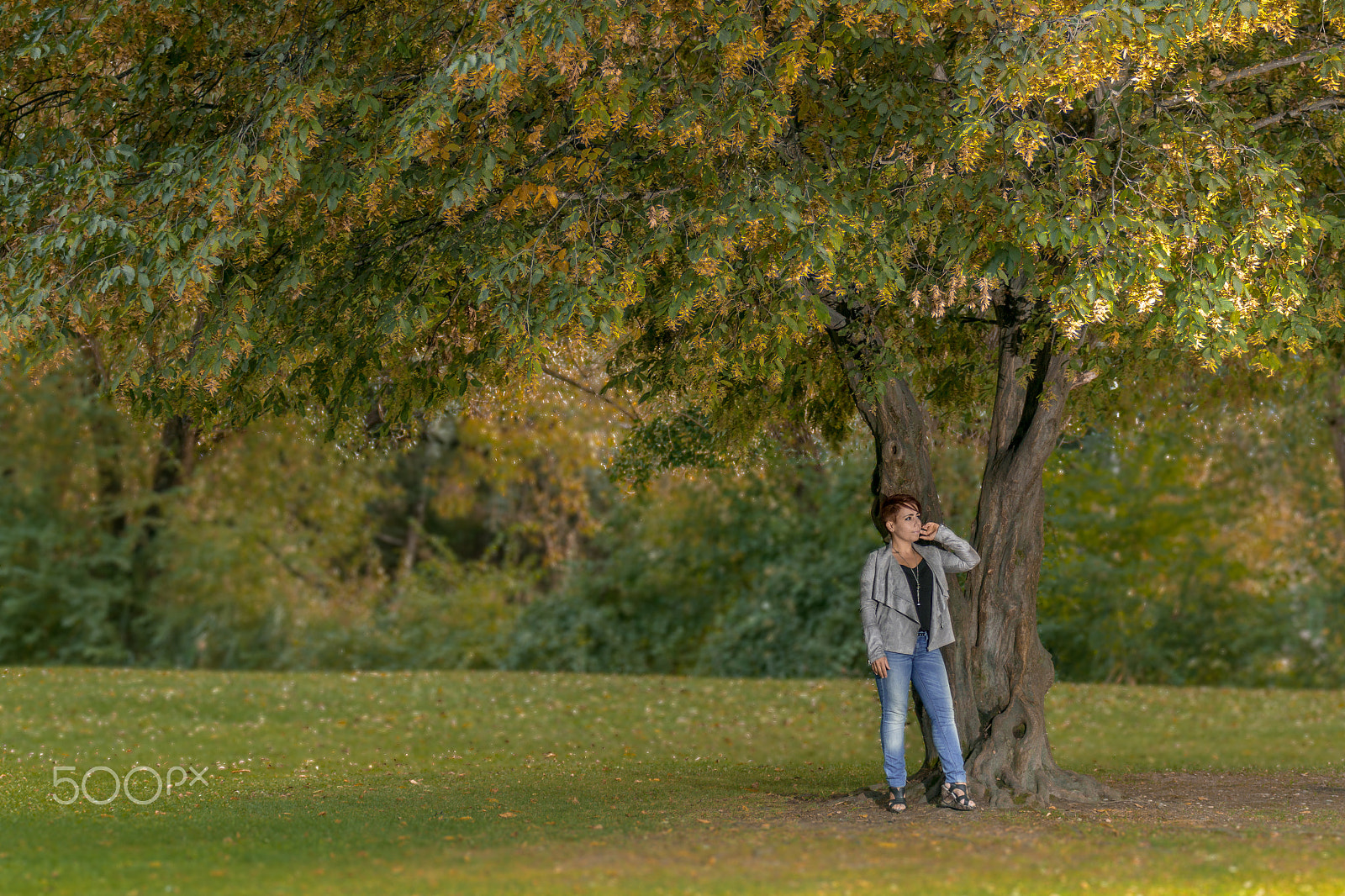 Canon EOS 70D + Sigma 70-200mm F2.8 EX DG OS HSM sample photo. Lost photography