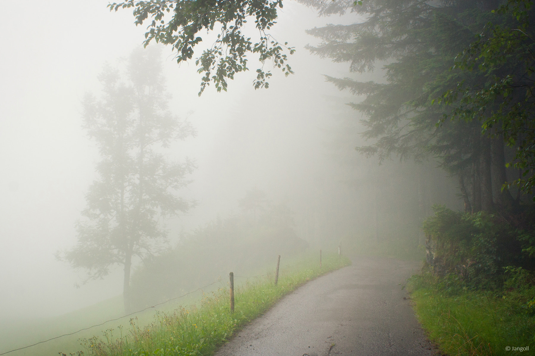 Canon EF 28-90mm f/4-5.6 sample photo. The foggy road photography