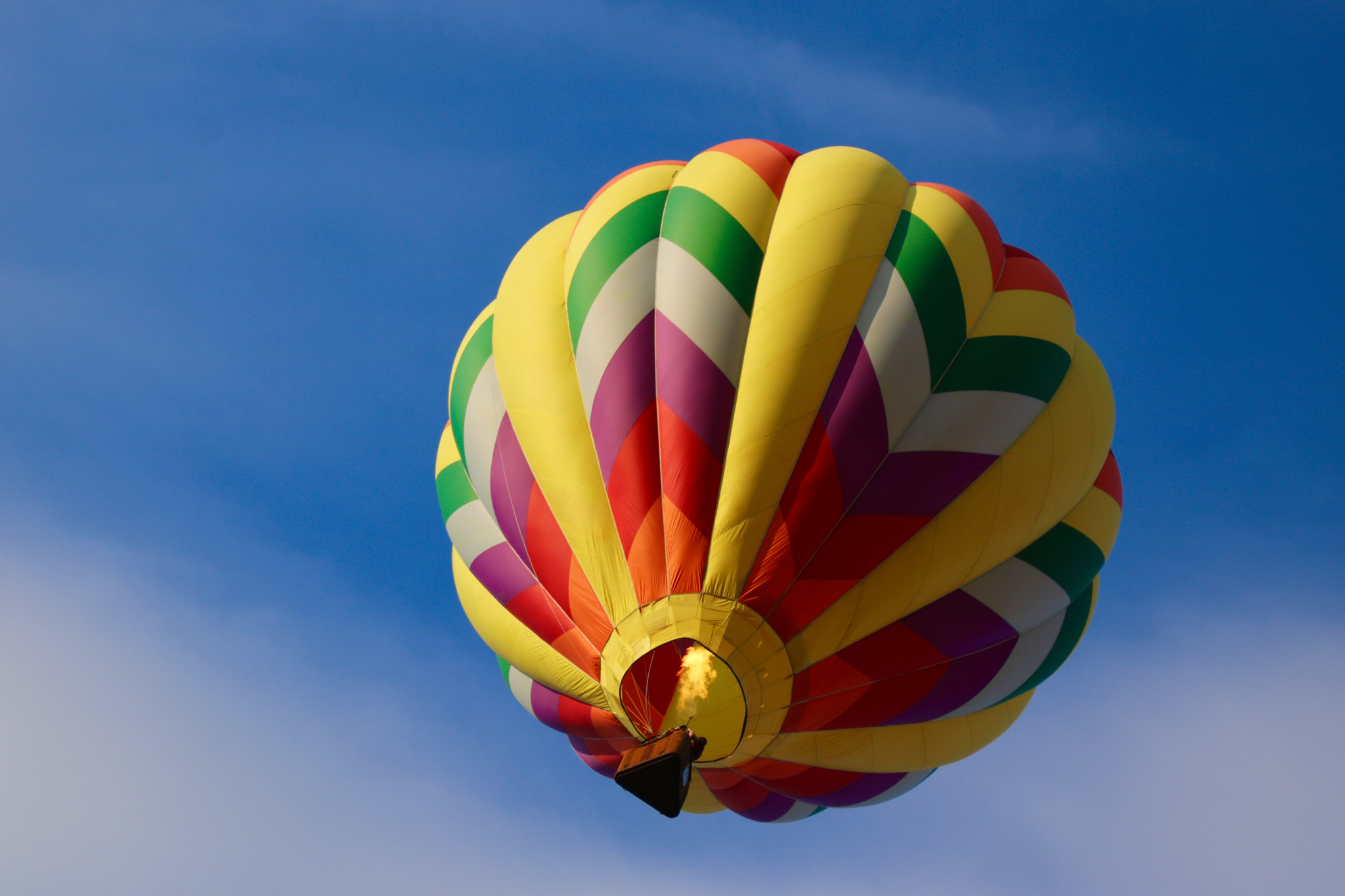 Canon EOS 760D (EOS Rebel T6s / EOS 8000D) sample photo. Hot air balloon photography