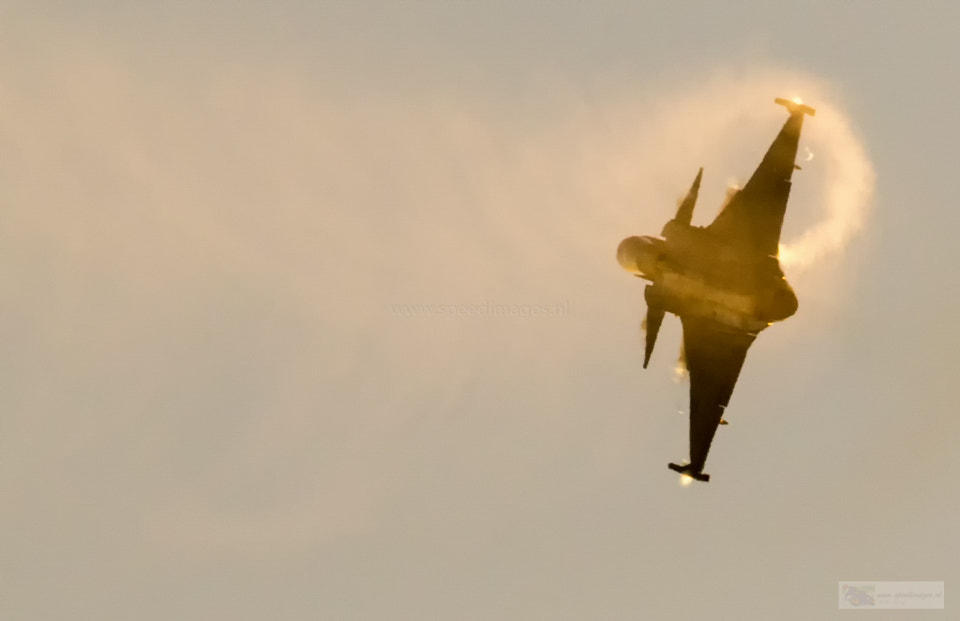 Canon EF 200mm F2.8L II USM sample photo. Golden gripen photography
