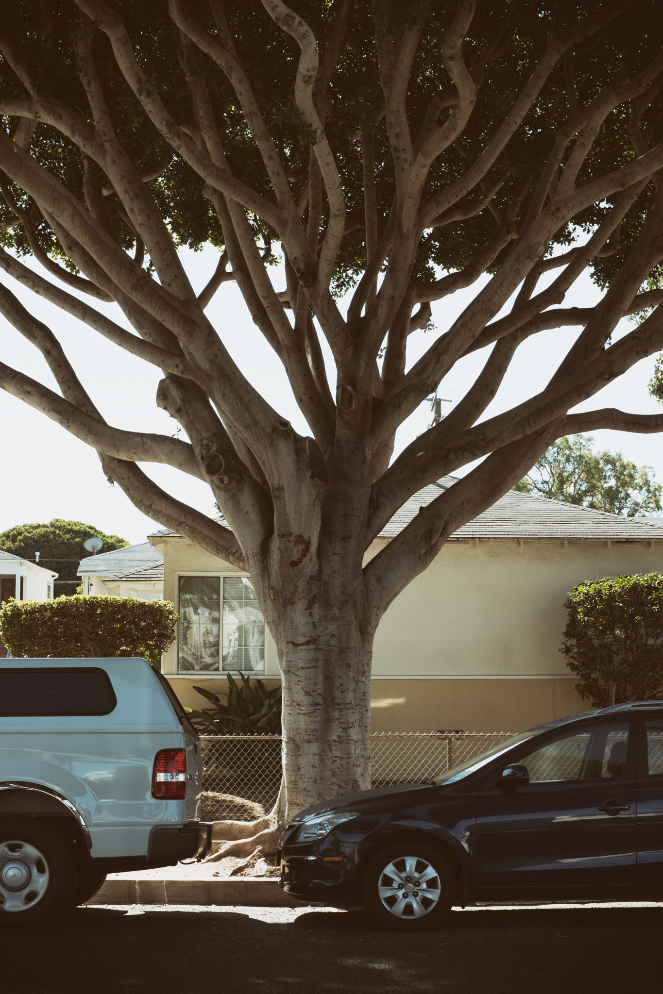 Sony a6300 + E 32mm F1.8 sample photo. Santa monica | california photography