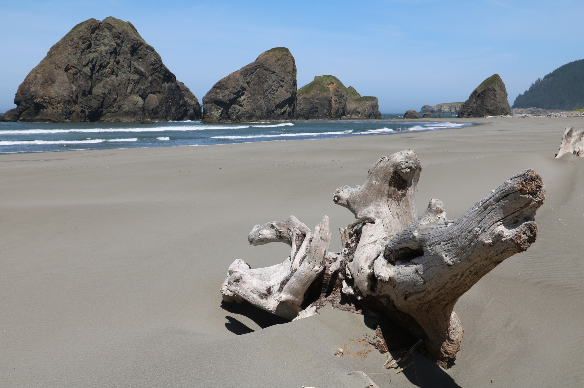 Canon EOS 760D (EOS Rebel T6s / EOS 8000D) sample photo. In your face: a sentry for the rocks photography