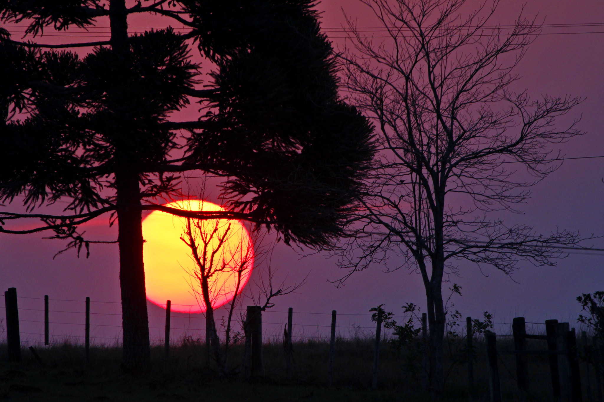 Canon EF 100-400mm F4.5-5.6L IS USM sample photo. Sunset photography