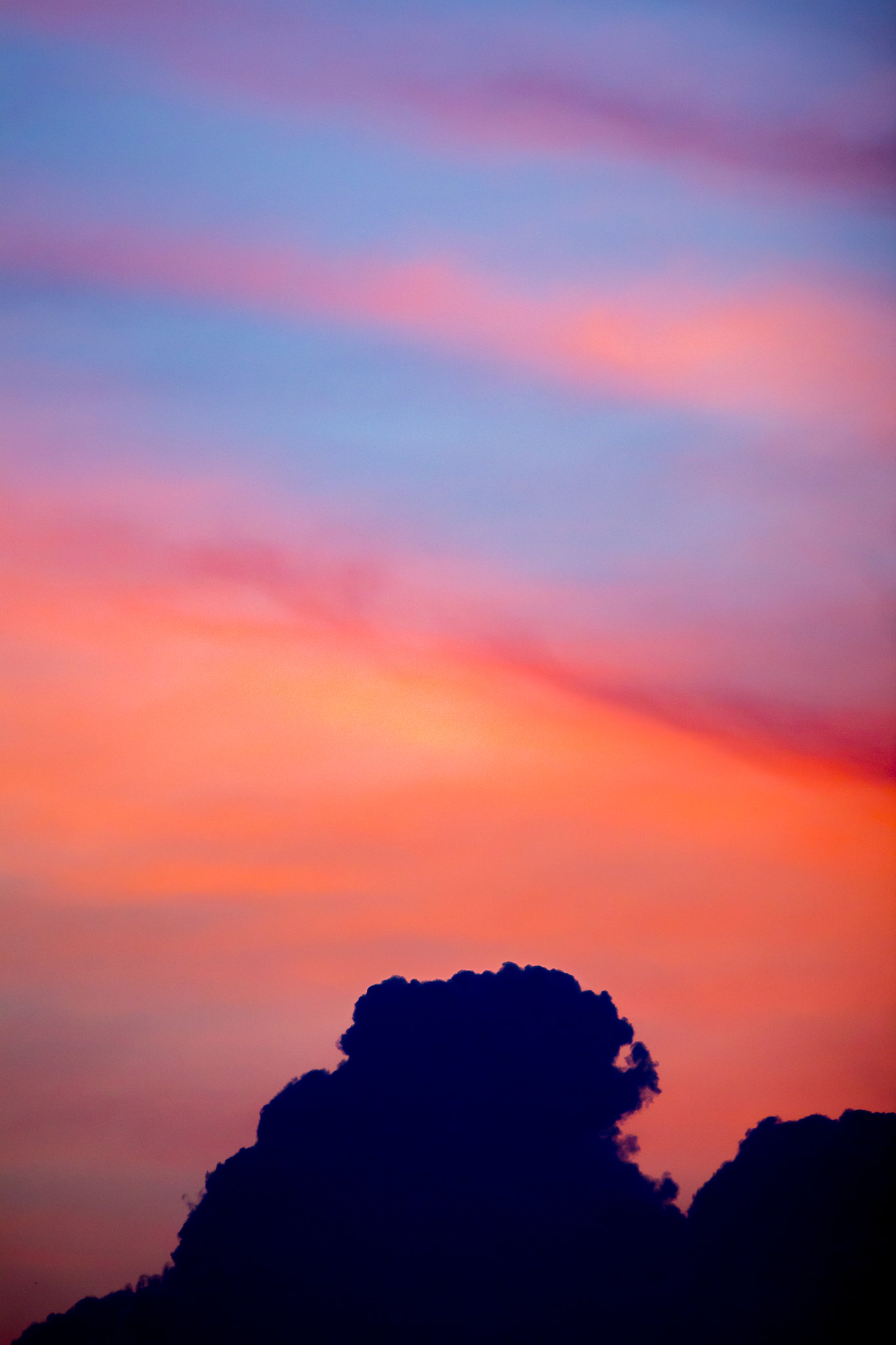 Canon EOS 6D + Canon EF 400mm F5.6L USM sample photo. Nature wonders photography