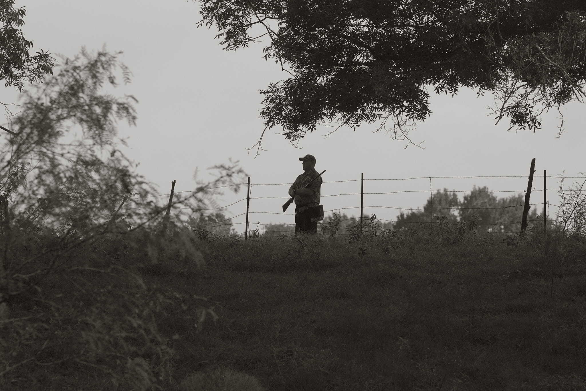 Sigma 70-200mm F2.8 EX DG OS HSM sample photo. Morning hunt photography