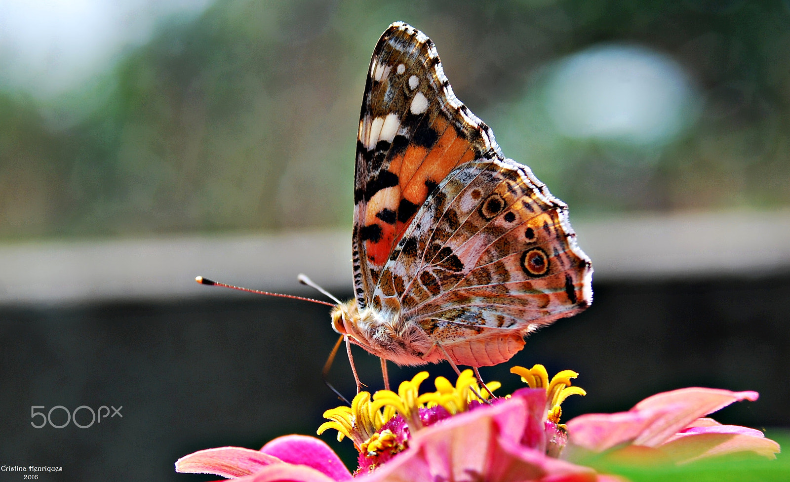 AF Zoom-Nikkor 28-80mm f/3.3-5.6G sample photo. Times like these... photography