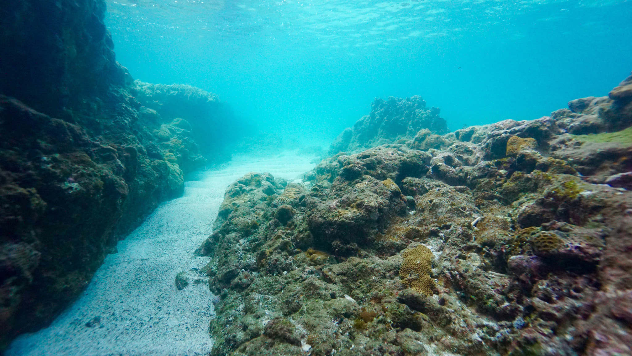 Sony a6000 + Sony E 10-18mm F4 OSS sample photo. The world of the depth of water several meters photography