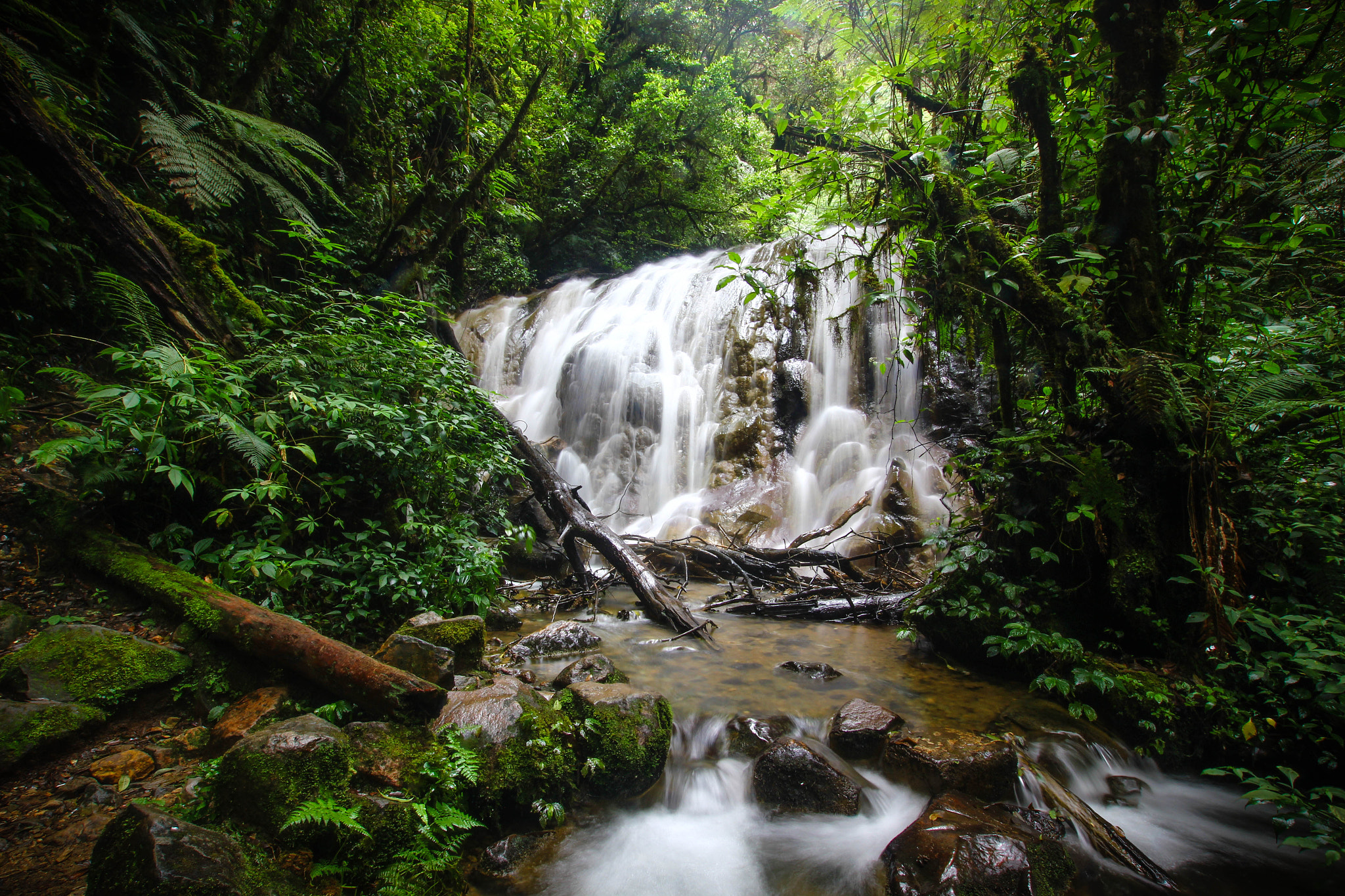 Sigma 10-20mm F3.5 EX DC HSM sample photo. Taman cibodas photography