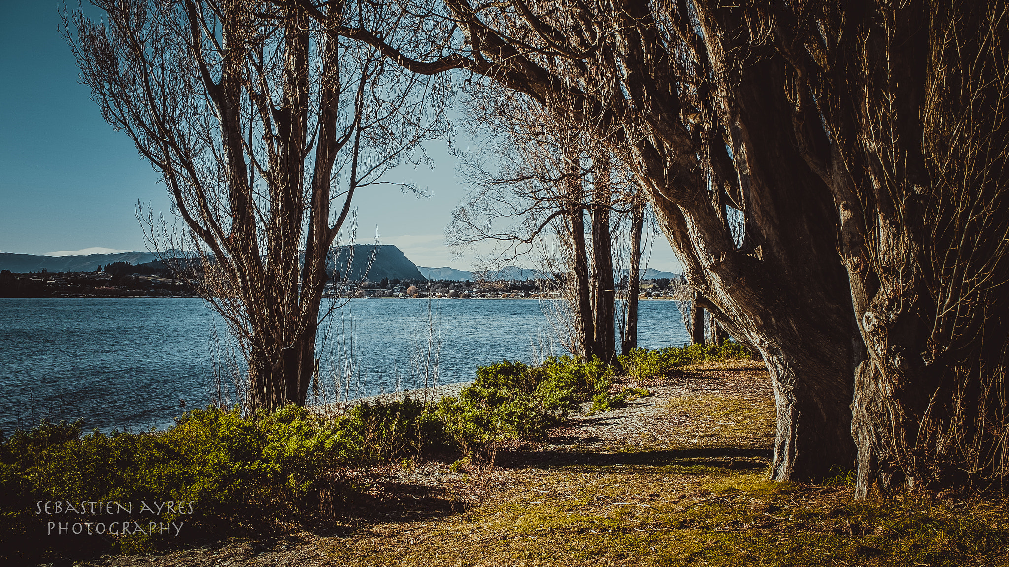 Pentax K-S2 sample photo. Path by the lake photography