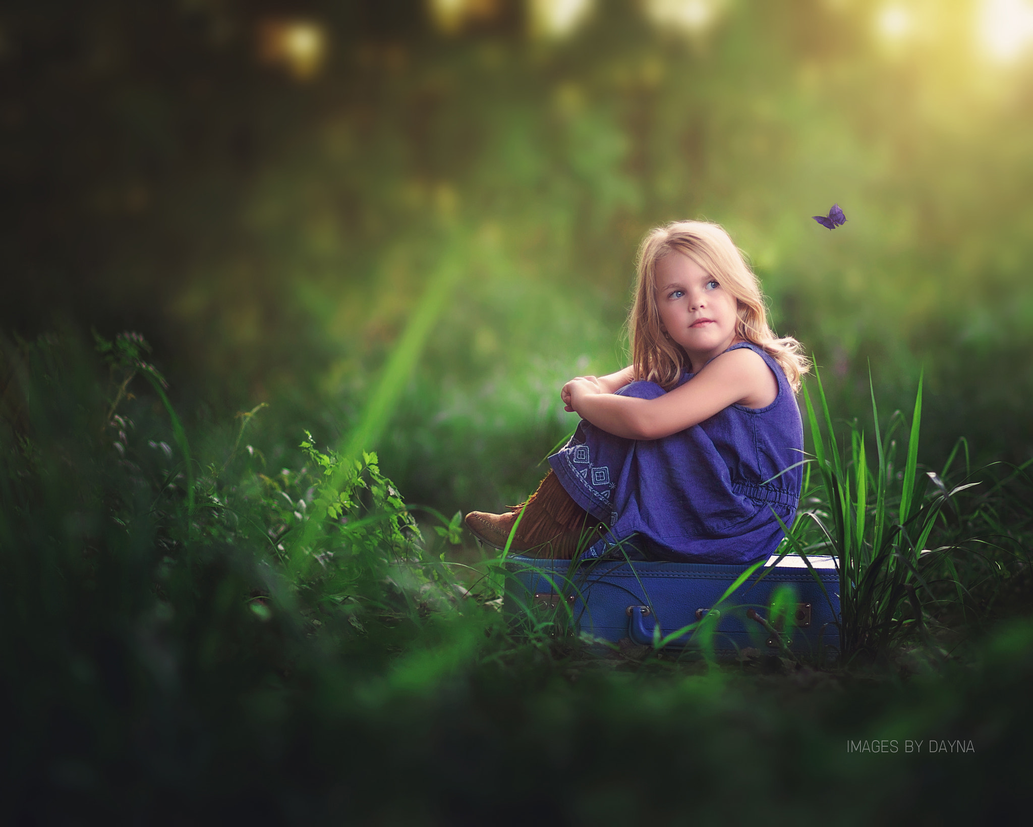 Canon EF 85mm F1.8 USM sample photo. Sweet butterfly photography