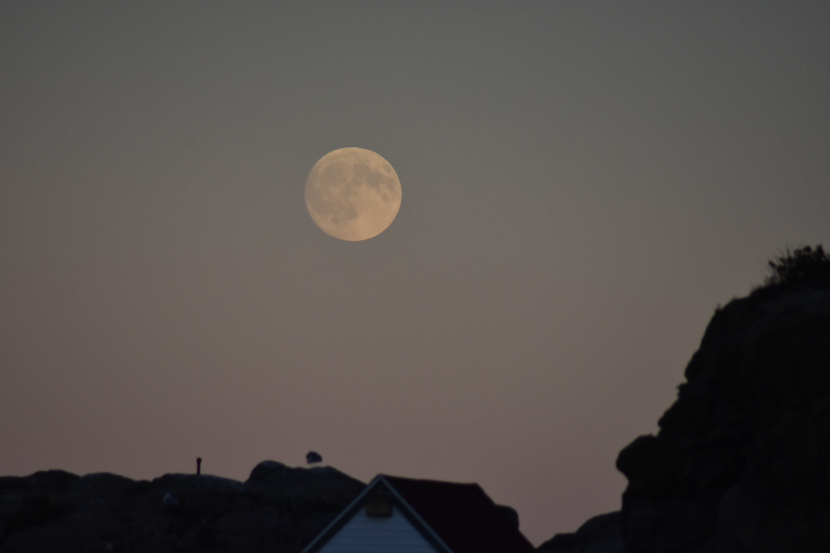 Nikon AF Nikkor 70-300mm F4-5.6G sample photo. To night moon photography