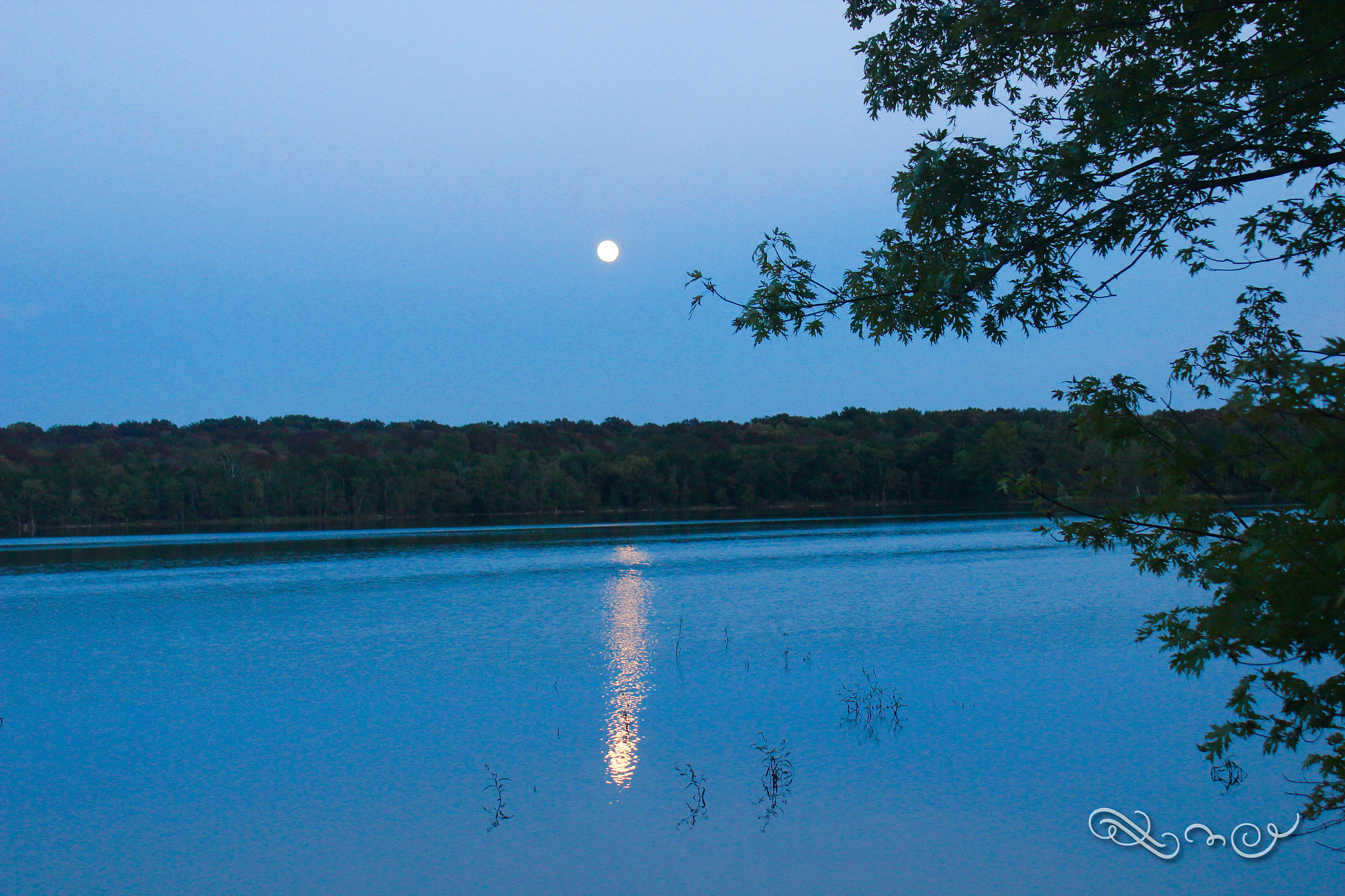 Canon EOS 600D (Rebel EOS T3i / EOS Kiss X5) + Canon EF-S 18-55mm F3.5-5.6 IS II sample photo. Moon light on the lake photography