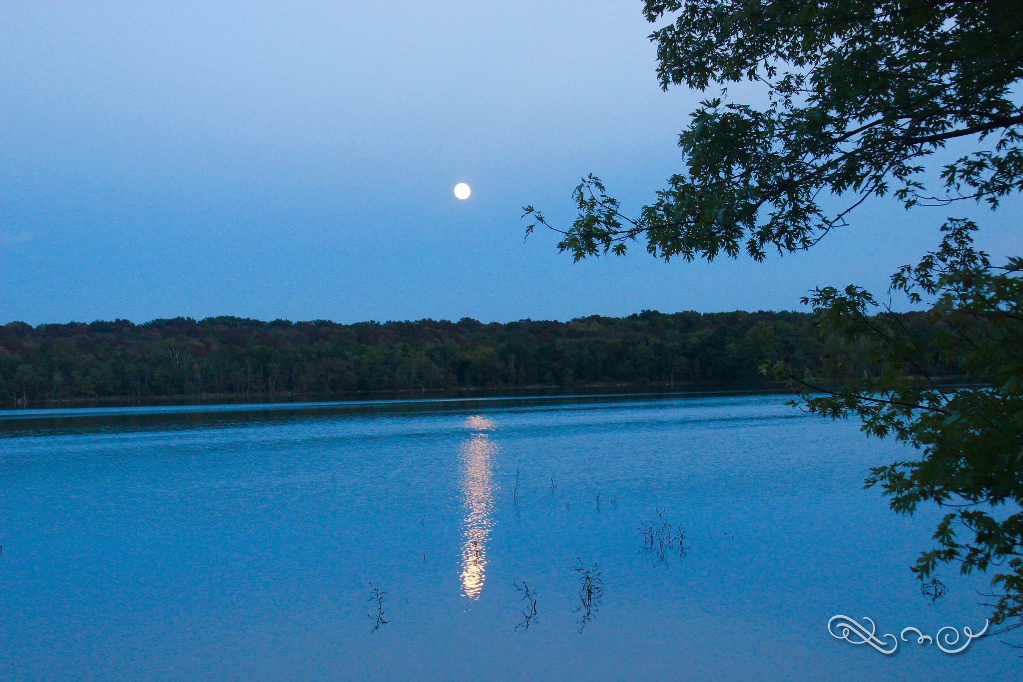 Canon EF-S 18-55mm F3.5-5.6 IS II sample photo. Moon light on the lake photography