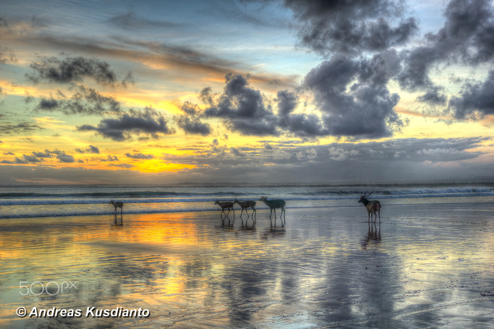 Sony FE 28mm F2 sample photo. Pangandaran, west java, indonesia photography