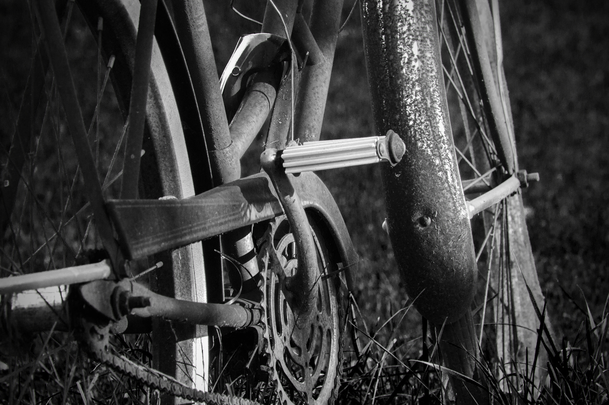 Canon EF 70-300mm F4-5.6 IS USM sample photo. Bicycle photography