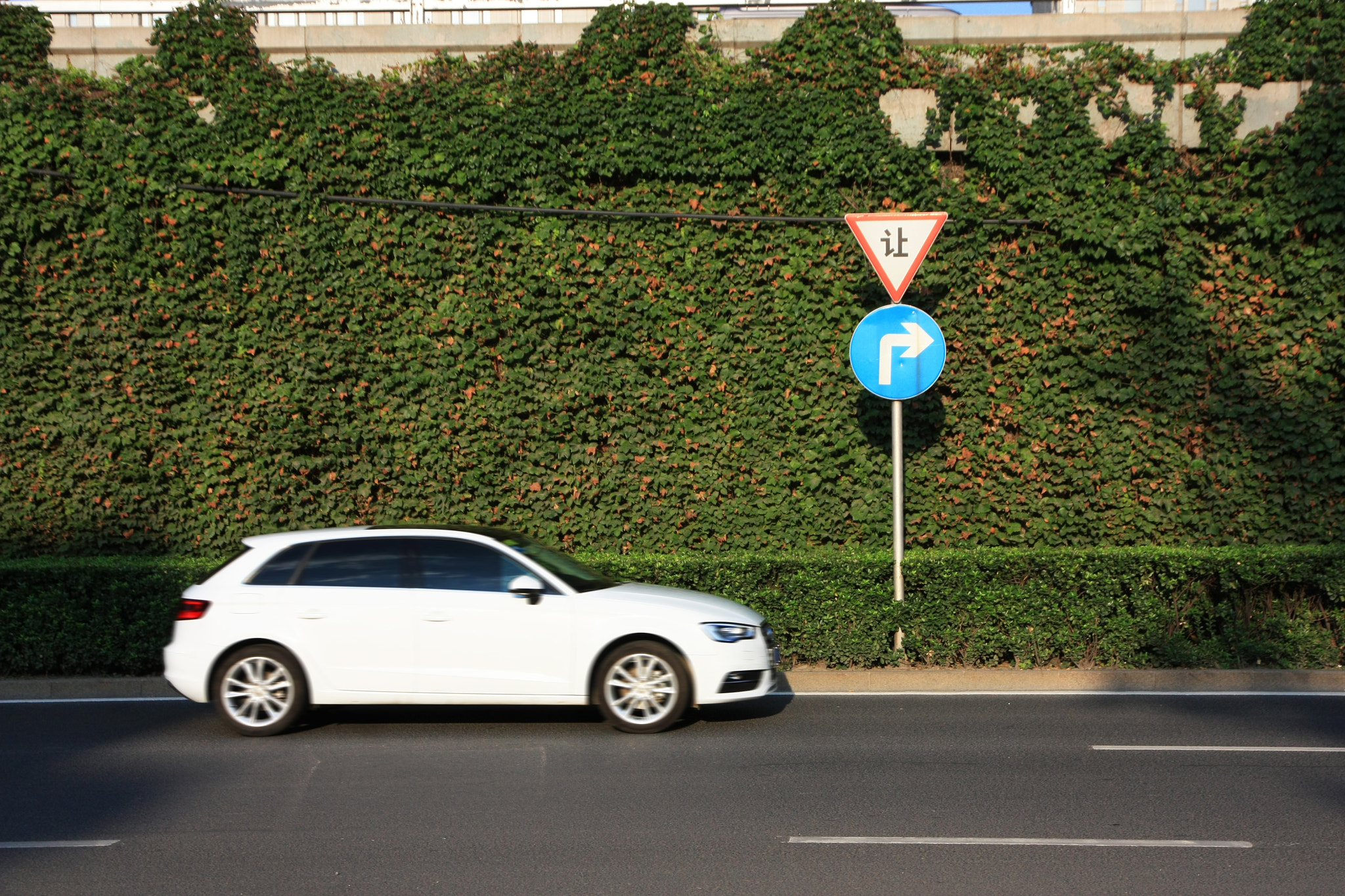 Canon EOS 450D (EOS Rebel XSi / EOS Kiss X2) sample photo. 分镜 photography