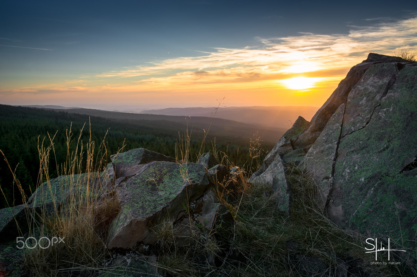 Sigma 18-50mm F2.8-4.5 DC OS HSM sample photo. Von der wolfswarte photography