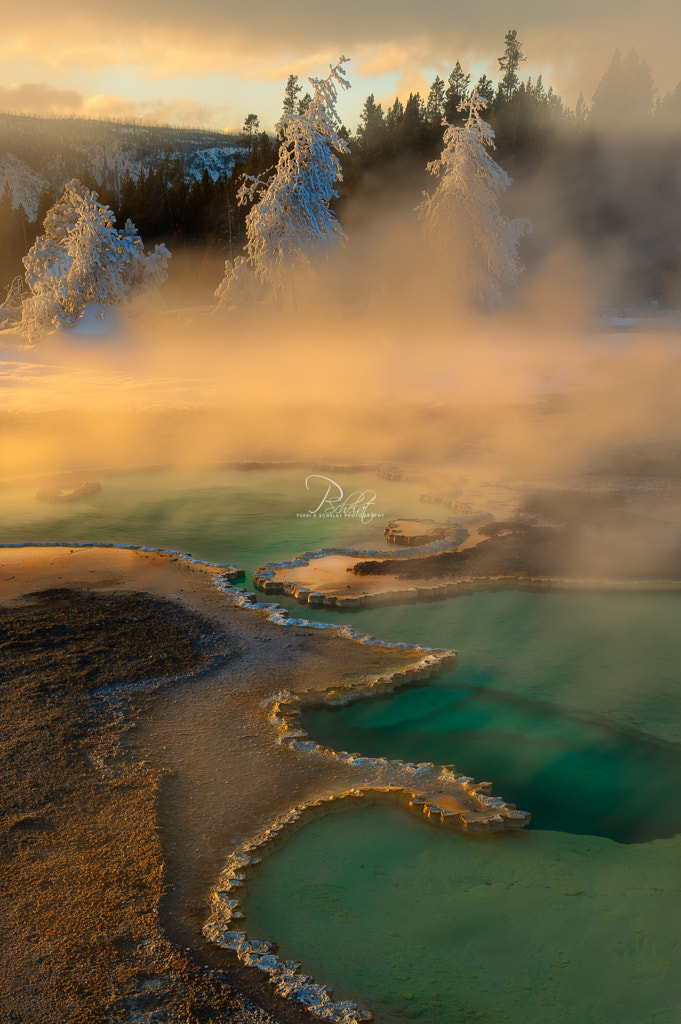 Doublet Pools par Perri K Schelat sur 500px.com