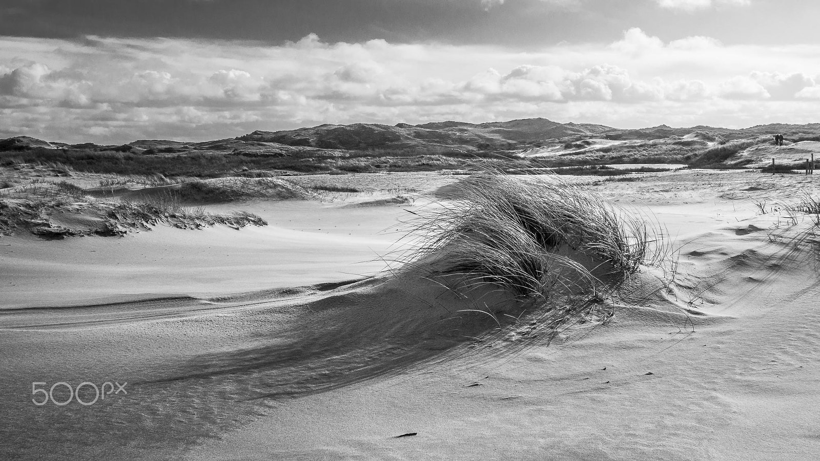 Olympus OM-D E-M5 + Panasonic Lumix G 14mm F2.5 ASPH sample photo. Wind photography