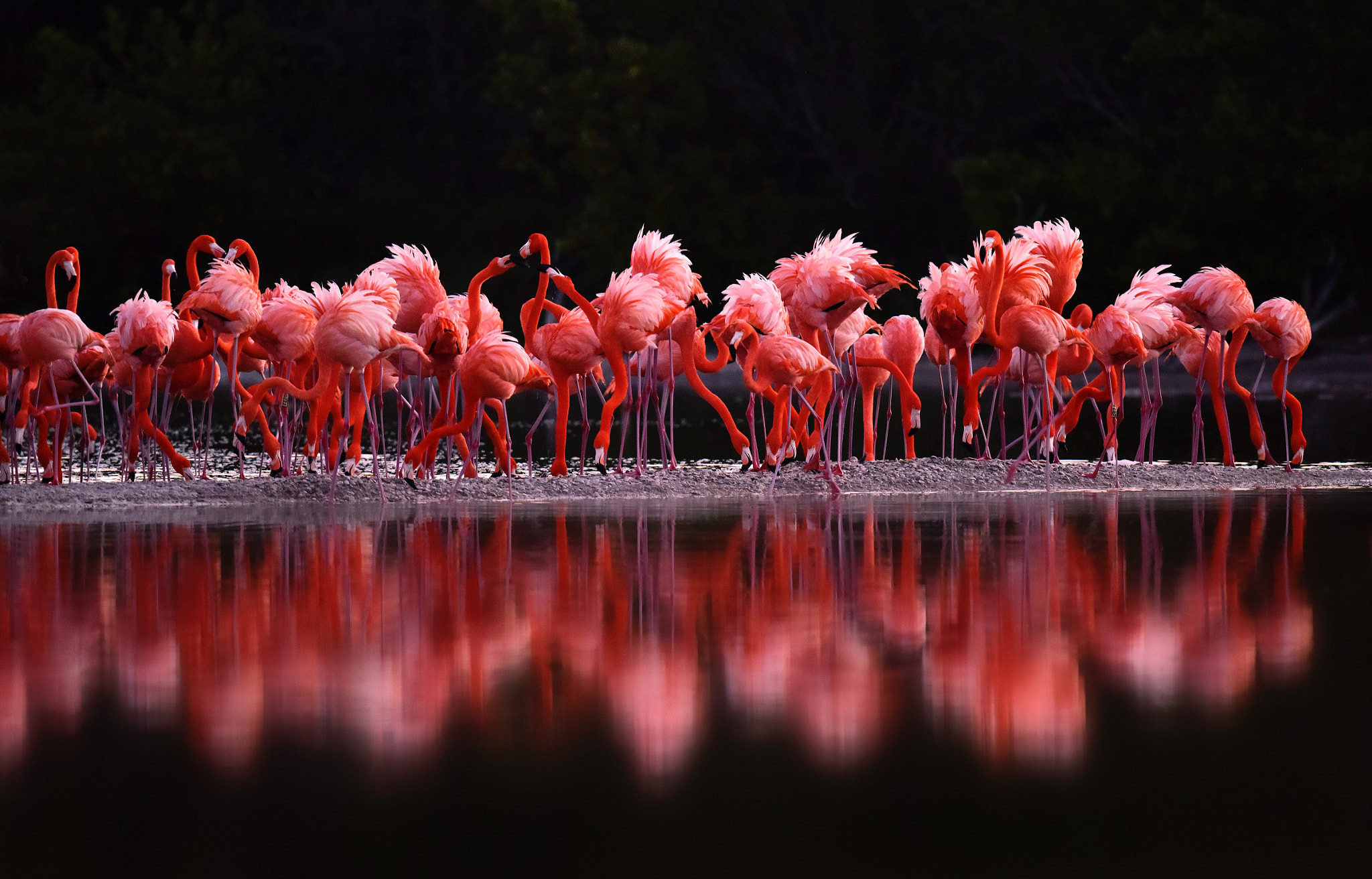 Nikon AF-S Nikkor 800mm F5.6E FL ED VR sample photo