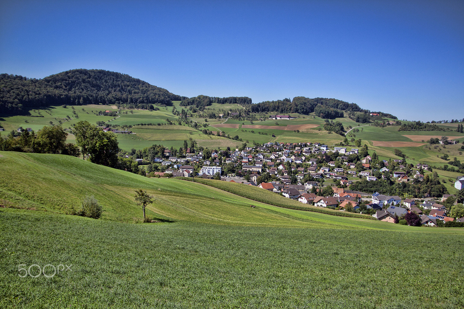 Sigma 17-70mm F2.8-4 DC Macro OS HSM sample photo. Dorf baselland photography