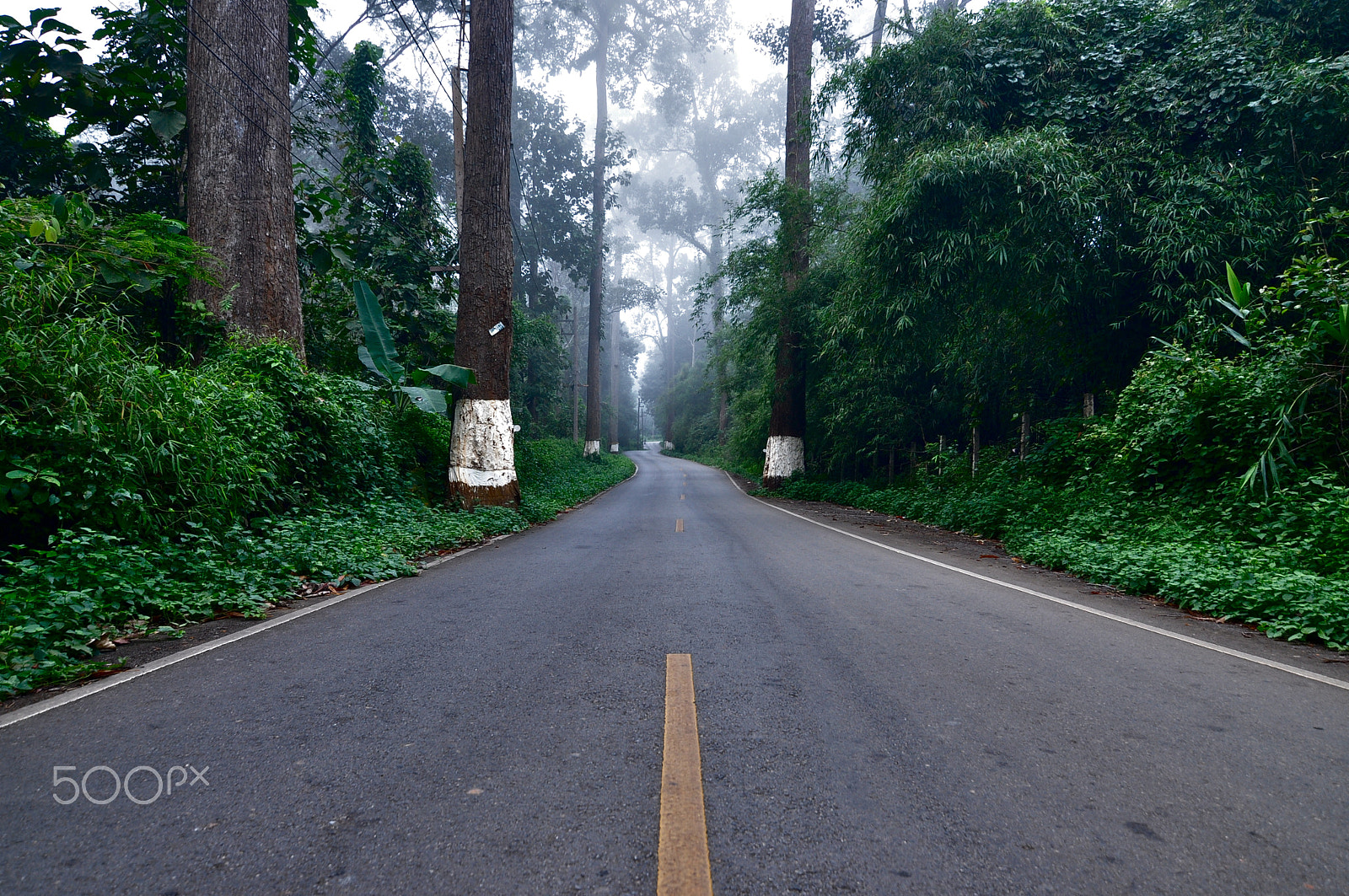 Nikon D90 + Tokina AT-X Pro 11-16mm F2.8 DX sample photo. Road with natures in thailand photography