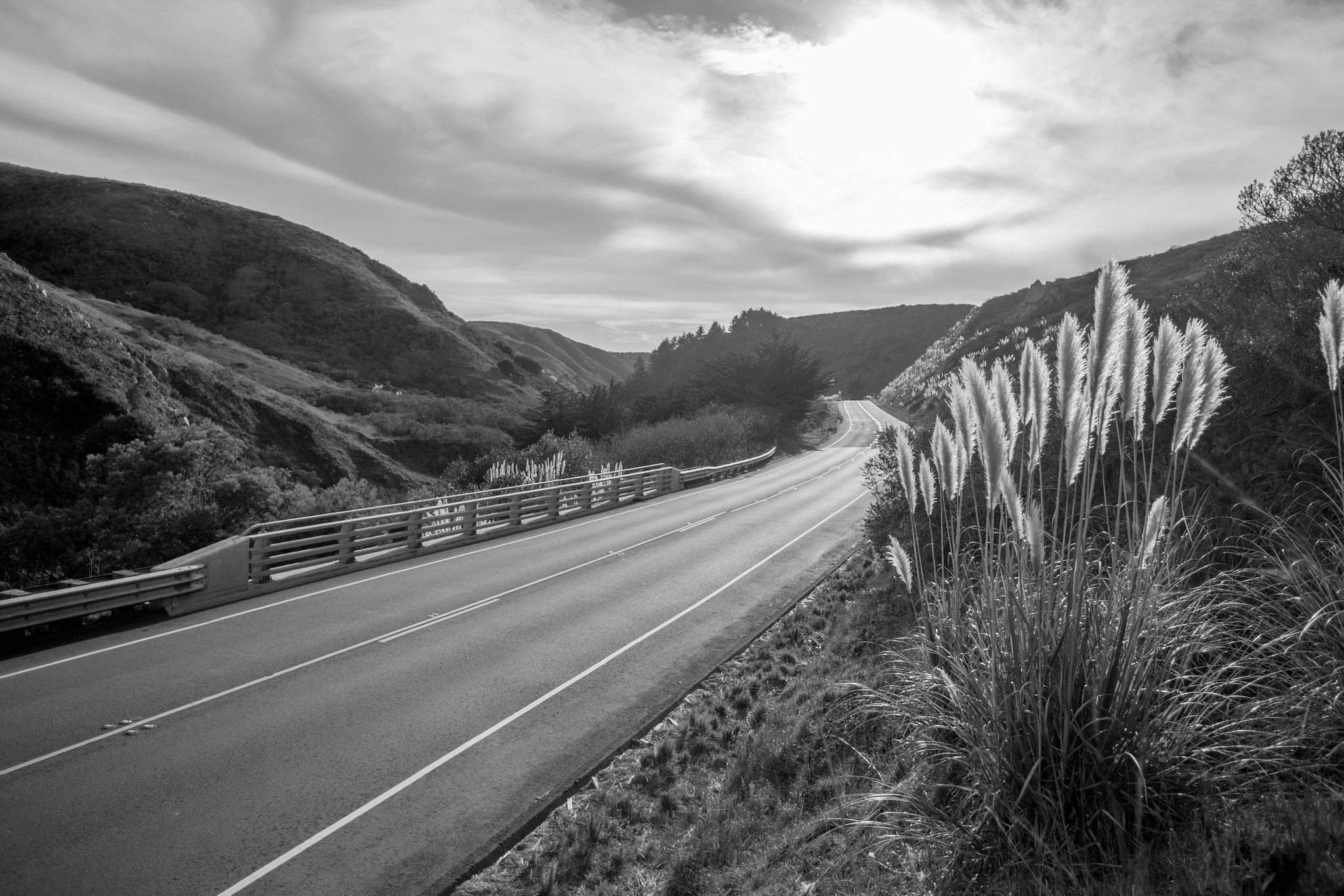 Canon EF 16-35mm F2.8L USM sample photo. California photography