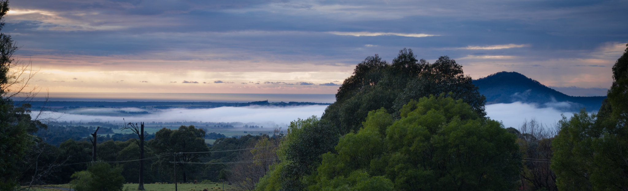 AF Zoom-Nikkor 28-80mm f/3.5-5.6D sample photo. Early morning, berry, nsw photography